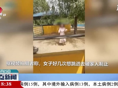 山东：素质去哪儿了？ 她跳入鸵鸟圈偷蛋