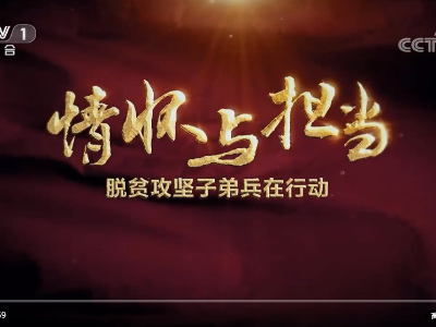 《情怀与担当——脱贫攻坚子弟兵在行动》 第四集 鱼水情深