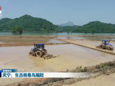 武宁：生态画卷鸟蹁跹