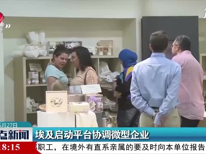 埃及启动平台协调微型企业