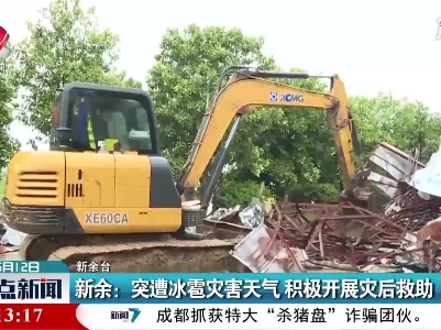 新余：突遭冰雹灾害天气 积极开展灾后救助