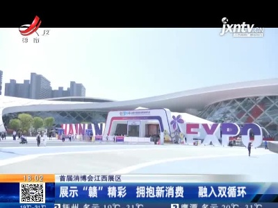 首届消博会江西展区：展示“赣”精彩 拥抱新消费 融入双循环