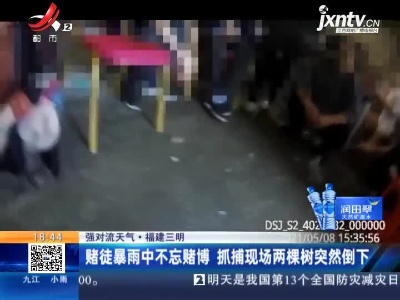 【强对流天气】福建三明：赌徒暴雨中不忘赌博 抓捕现场两棵树突然倒下