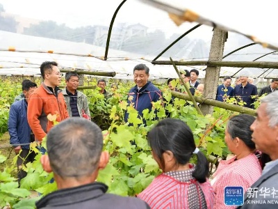 近期两次考察，习近平都关注这项制度