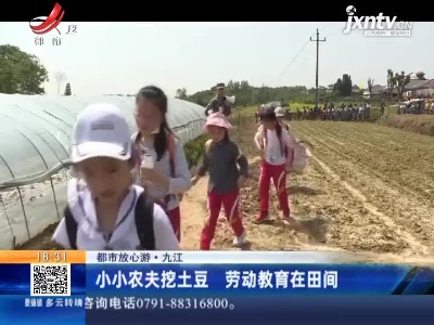 【都市放心游】九江：小小农夫挖土豆 劳动教育在田间