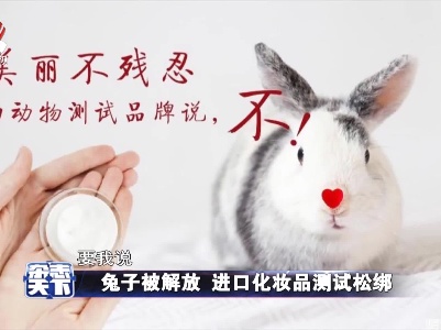 兔子被解放 进口化妆品测试松绑