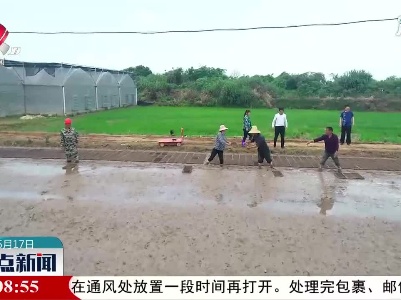 南昌市新建区：中稻育秧拉开序幕