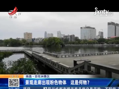 南昌·百花洲景区：景观走廊出现粉色物体 这是何物？