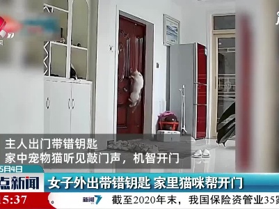 河南：女子外出带错钥匙 家里猫咪帮开门