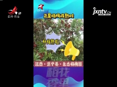 武宁县：正是杨梅成熟时