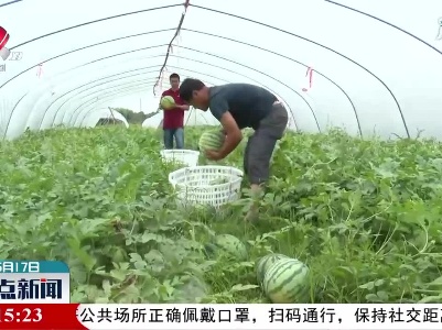 未来两天赣北局地有暴雨 专家提出农事建议