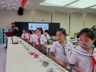 浔阳区禁毒办走进九江小学开展禁毒知识专题讲座