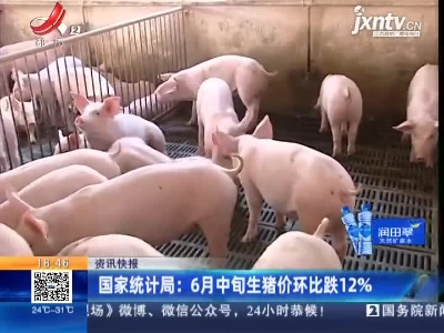 国家统计局：6月中旬生猪价环比跌12%