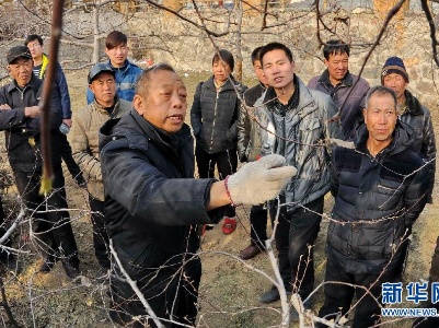 数风流人物｜李保国：用科技之手“点石成金”