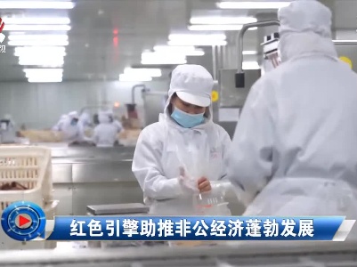 社会传真20210628 红色引擎助推非公经济蓬勃发展