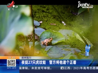 抚州临川：夜捉27只虎纹蛙 警方将他逮个正着