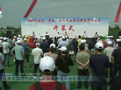 江西首届现代种业蔬菜新品种展示会在南昌举办