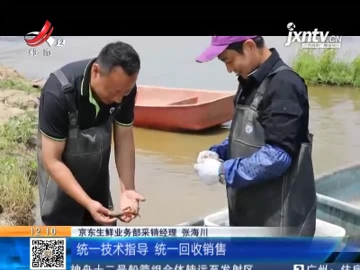 九江彭泽：小龙虾销售火爆 引来电商对产地溯源