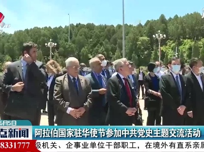 阿拉伯国家驻华使节参加中共党史主题交流活动