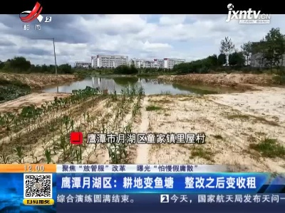 【聚焦“放管服”改革 曝光“怕慢假庸散”】鹰潭月湖区：耕地变鱼塘 整改之后变收租