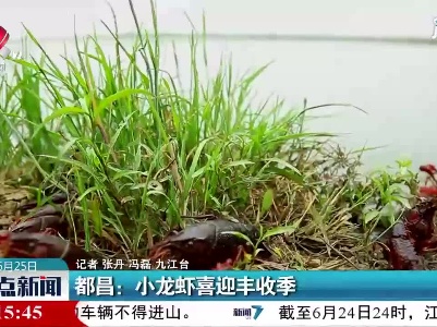 都昌：小龙虾喜迎丰收季