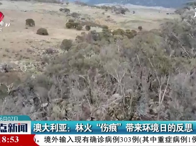 澳大利亚：林火“伤痕”带来环境日的反思