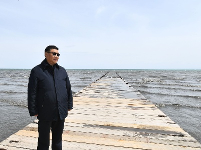 习近平在青海考察时强调 坚持以人民为中心深化改革开放 深入推进青藏高原生态保护和高质量发展