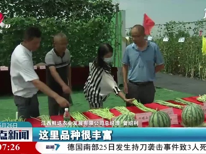 江西首届现代种业蔬菜新品种展示会开幕：千余种奇瓜异果亮相