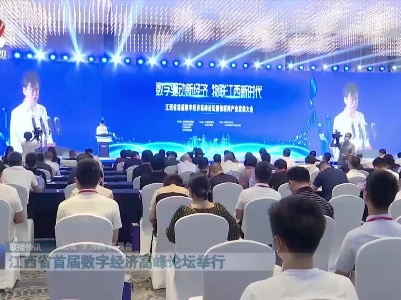 江西省首届数字经济高峰论坛举行