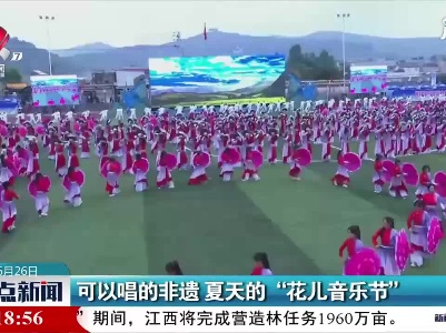 甘肃：可以唱的非遗 夏天的“花儿音乐节”