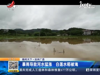 【赣闻天下】抚州广昌：暴雨导致河水猛涨 白莲水稻被淹