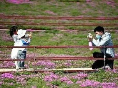 好消息！进贤县成功入选全省第二批“美丽宜居示范县”！