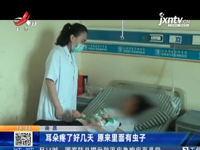 南昌：耳朵疼了好几天 原来里面有虫子