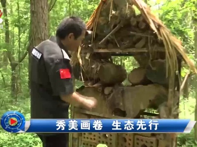 社会传真20210605 秀美画卷 生态先行