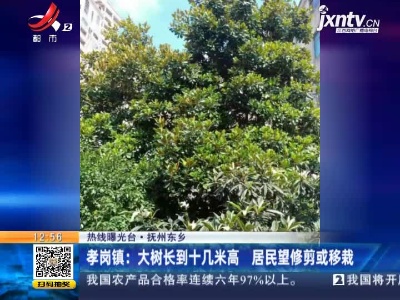 【热线曝光台】抚州东乡·孝岗镇：大树长到十几米高 居民望修剪或移栽