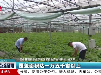 玉山：为乡村振兴插上“数字”翅膀