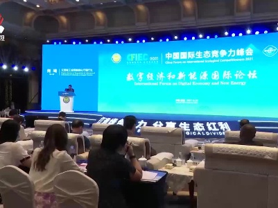 2021中国国际生态竞争力峰会：聚焦碳达峰、碳中和 助力绿色转型发展