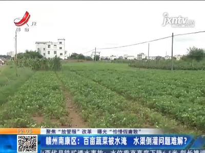 【聚焦“放管服”改革 曝光“怕慢假庸散”】赣州南康区：百亩蔬菜被水淹 水渠倒灌问题难解？