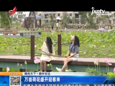 【赣闻天下】赣州安远：万亩荷花盛开迎客来