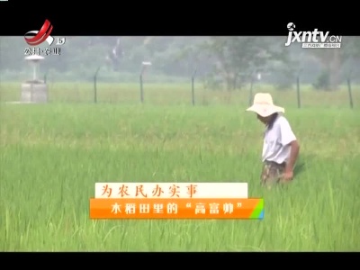 稻花香里20210624 为农民办实事——水稻田里的“高富帅”