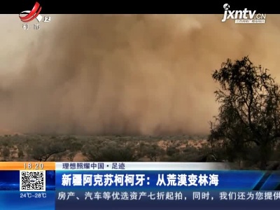 【理想照耀中国·足迹】新疆阿克苏柯柯牙：从荒漠变林海
