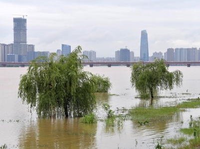 全国多地进入主汛期，当前汛情怎样？如何防汛救灾？