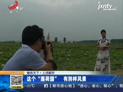 【赣闻天下】上饶鄱阳：这个“莲荷国” 有别样风景