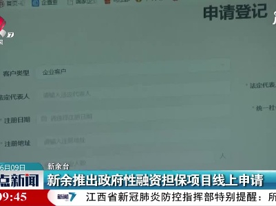 新余推出政府性融资担保项目线上申请