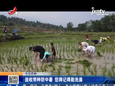 【今日芒种】连收带种防中暑 您得记得勤洗澡