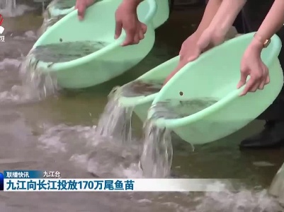 九江向长江投放170万尾鱼苗
