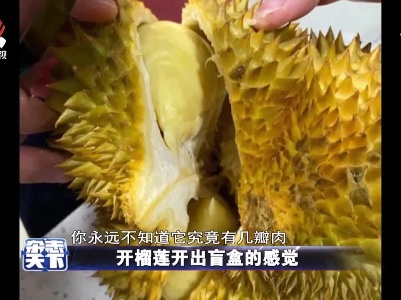 开榴莲开出盲盒的感觉