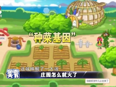 庄园怎么就火了