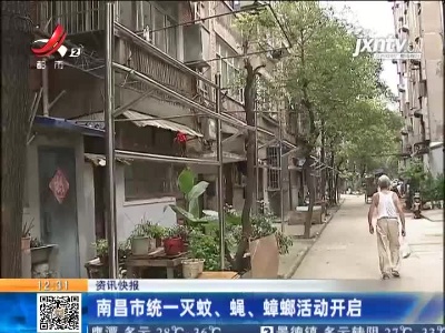 南昌市统一灭蚊、蝇、蟑螂活动开启