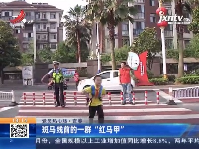 【党员热心肠】宜春：斑马线前的一群“红马甲”